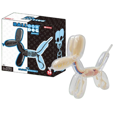 Balloon Dog Anatomy Balloon Dog Anatomy