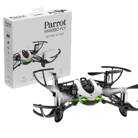 Parrots Mambo Fly Parrots Mambo Fly