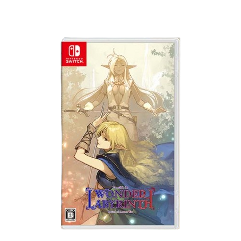 Nintendo Switch Record of Lodoss War- Deedlit in Wonder Labyrinth Nintendo Switch Record of Lodoss War- Deedlit in Wonder Labyrinth