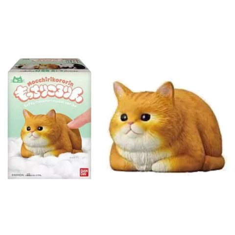 Mocchiri Kororin Cat #7 Mocchiri Kororin Cat #7