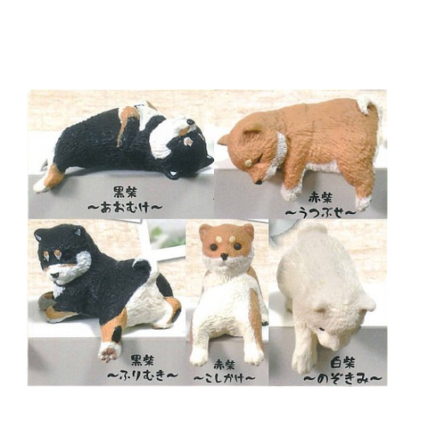 Capsule Dogs On Wall (Set of 5) Capsule Dogs On Wall (Set of 5)