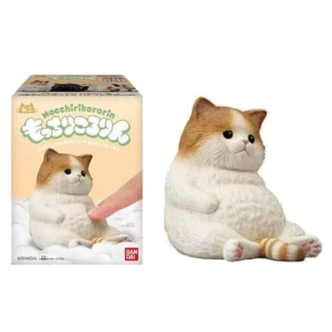 Mocchiri Kororin Cat #6 Mocchiri Kororin Cat #6