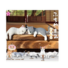Kittens Break Time Capsule (Set of 5) Kittens Break Time Capsule (Set of 5)