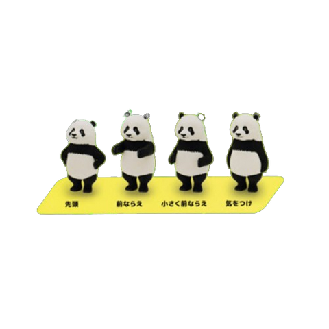 Kitan Club Panda Capsules (Set of 4)