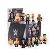 WWE Vinyl Series Mini-Figure Blind Box