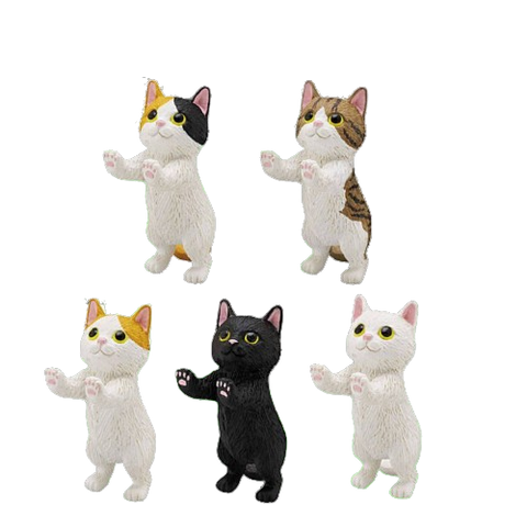 Kittens Touch Capsule (Set of 5) Kittens Touch Capsule (Set of 5)