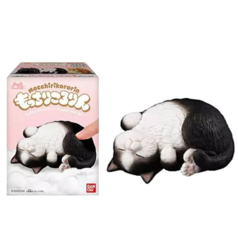 Mocchiri Kororin Cat #4 Mocchiri Kororin Cat #4