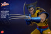 Hono Studio HS06 Marvel X-Men 1/6 Unmasked Wolverine Hono Studio HS06 Marvel X-Men 1/6 Unmasked Wolverine