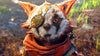 Nintendo Switch Biomutant (EU) Nintendo Switch Biomutant (EU)