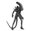 Neca 1/4 Alien Big Chap Neca 1/4 Alien Big Chap