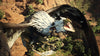 PS5 Dragon's Dogma II (Asia) PS5 Dragon's Dogma II (Asia)