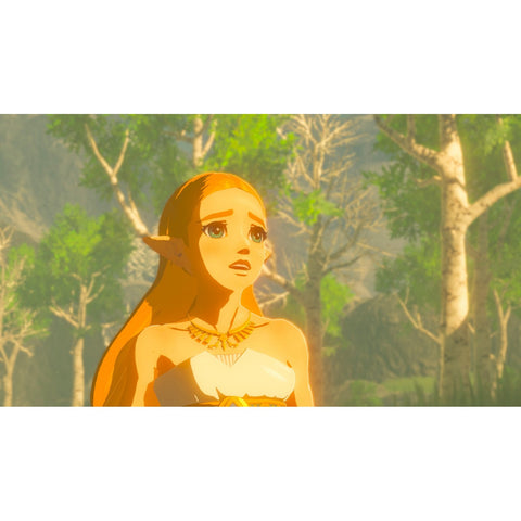 Nintendo Switch 2 The Legend of Zelda: Breath of the Wild (Asia)