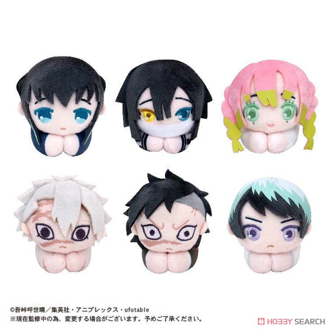 Kimetsu no Yaiba Hug X Character Vol 4 Blind Box