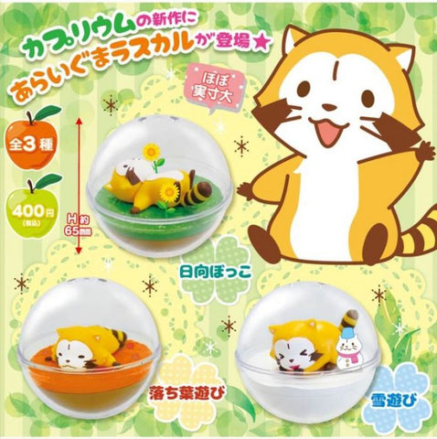 SK Japan Puchi Rascal Capsule Set of 3 SK Japan Puchi Rascal Capsule Set of 3