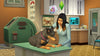 PS4 The SIMS 4 + Cats & Dogs Bundle (US) PS4 The SIMS 4 + Cats & Dogs Bundle (US)