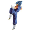 Dragon Ball Son Goku FES!! Vol 14 (B) SS God SS Vegito Dragon Ball Son Goku FES!! Vol 14 (B) SS God SS Vegito