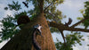 PS5 AWAY: The Survival Series (EU) PS5 AWAY: The Survival Series (EU)