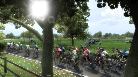 PC Pro Cycling Manager Le Tour De France 2014
