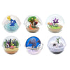Re-Ment Pokemon Terrarium Collection EX 2 (Set of 6) Re-Ment Pokemon Terrarium Collection EX 2 (Set of 6)