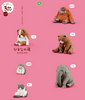 Takara Tomy Zoo 3rd sitting sleeping Set of 6 Takara Tomy Zoo 3rd sitting sleeping Set of 6