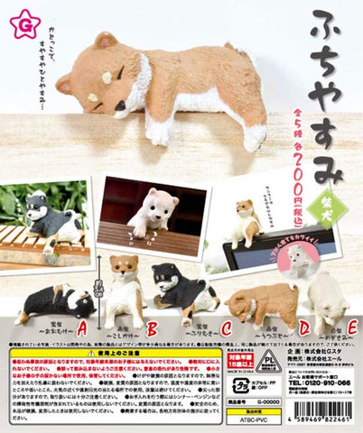 Capsule Dogs On Wall (Set of 5)