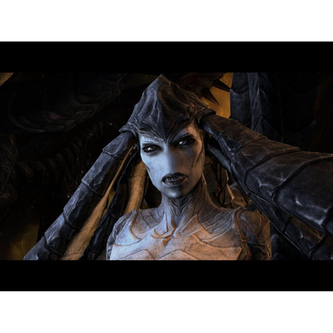 PC Starcraft II Expansion Heart of The Swarm