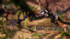 PS5 AWAY: The Survival Series (EU) PS5 AWAY: The Survival Series (EU)