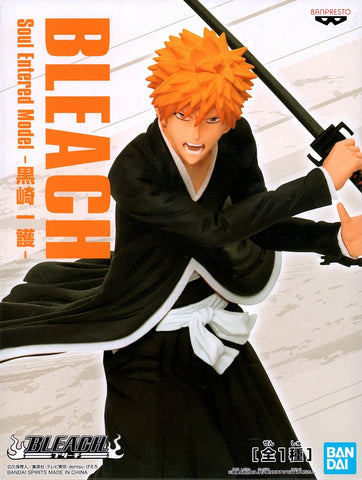 Bleach Soul Entered Model - Ichigo Kurosaki