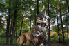 XM Studios Kraven XM Studios Kraven