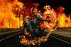 XM Studios Ghost Rider XM Studios Ghost Rider