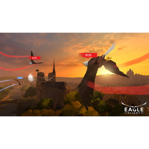 PS4 VR Eagle Flight