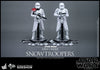 Hot Toys Star Wars First Order Snowtroopers Set Hot Toys Star Wars First Order Snowtroopers Set