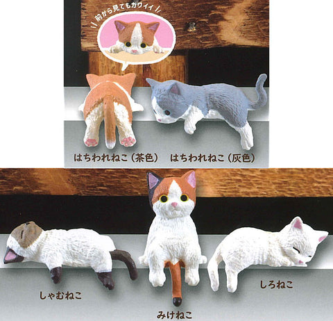 Kittens Break Time Capsule (Set of 5)