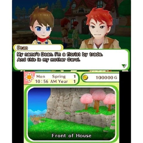 3DS Harvest Moon: Skytree Village