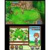 3DS Harvest Moon: The Tale of Two Towns 3DS Harvest Moon: The Tale of Two Towns