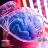 LTNC Studio HipHop is Dead Skull - 001 LTNC Studio HipHop is Dead Skull - 001