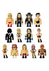 WWE Vinyl Series Mini-Figure Blind Box WWE Vinyl Series Mini-Figure Blind Box