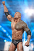 PCS WWE The Rock Statue PCS WWE The Rock Statue