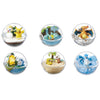 Re-Ment Pokemon Terrarium Collection 2 (Set of 6) Re-Ment Pokemon Terrarium Collection 2 (Set of 6)