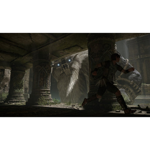 PS4 Shadow of the Colossus (R3)