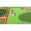 Nintendo Switch STORY OF SEASONS: Friends of Mineral Town (Chinese) Nintendo Switch STORY OF SEASONS: Friends of Mineral Town (Chinese)