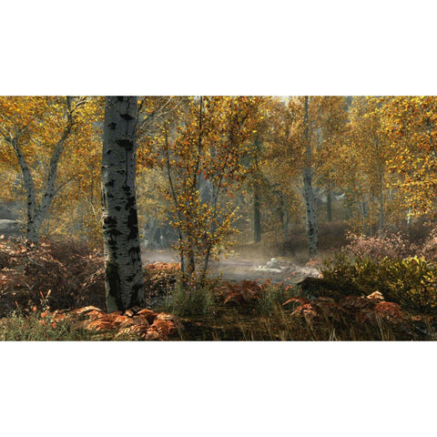 PC The Elder Scrolls V : Skyrim Special Edition