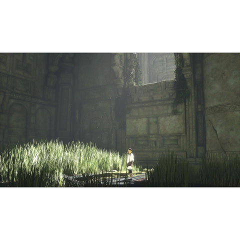 PS4 The Last Guardian (R3) (Steelbook)