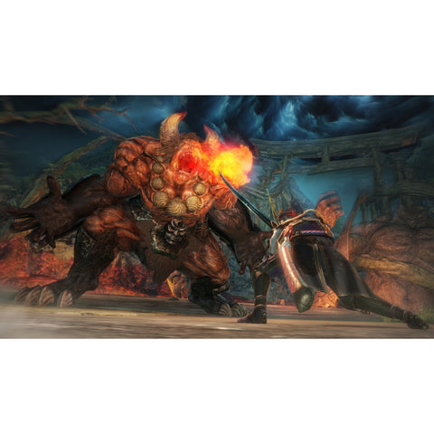 PS4 Toukiden Kiwami (US)