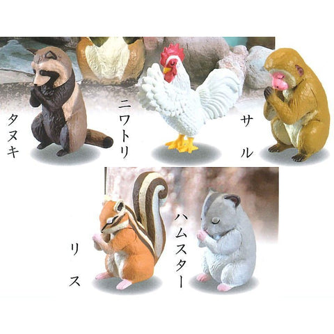 Gassho Praying Animals Series 6 (Set of 5)