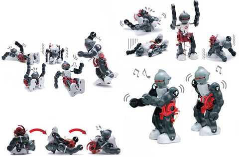 Tumbling Robot Experiment