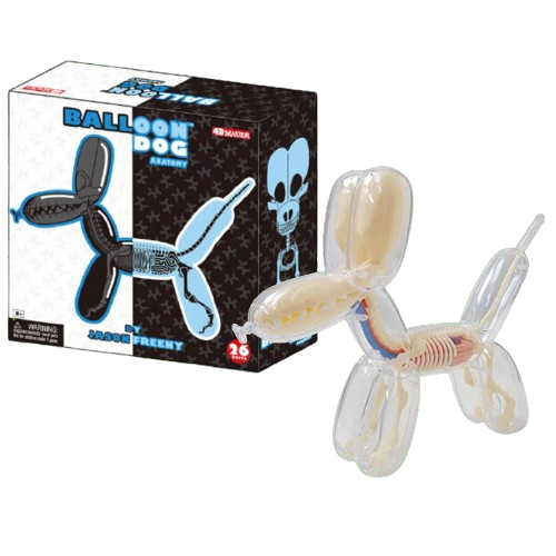 Balloon Dog Anatomy PLAYe