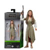 Star Wars The Black Series Princess Leia (Ewok Village)
