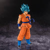 Dragon Ball Super Blood of Saiyans Son Goku