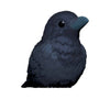 Tenori Friends Birds #11 Crow